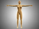 Anatomy of Female Body with Nervous System Poster Print