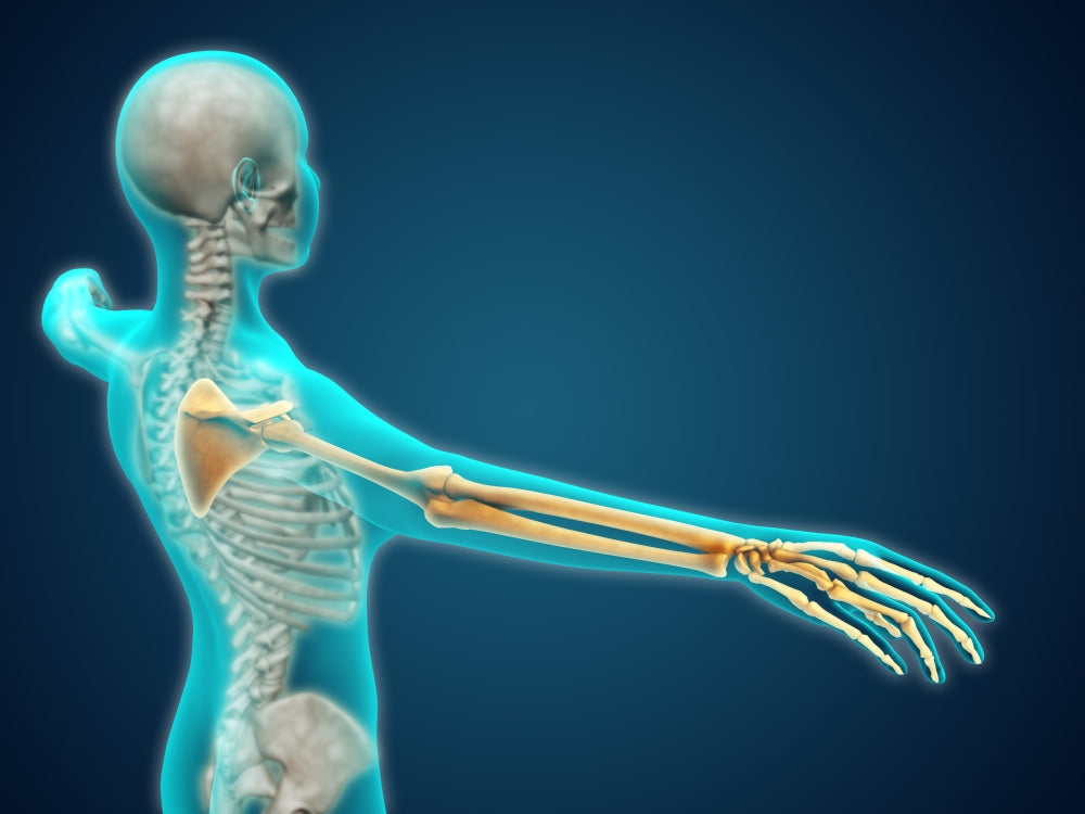 X-Ray view of human body showing skeletal bones in arm and hand poster print.