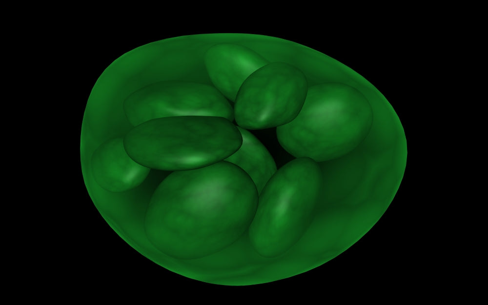 Chloroplast Conceptual Art Poster Print showcasing vibrant colors and details.