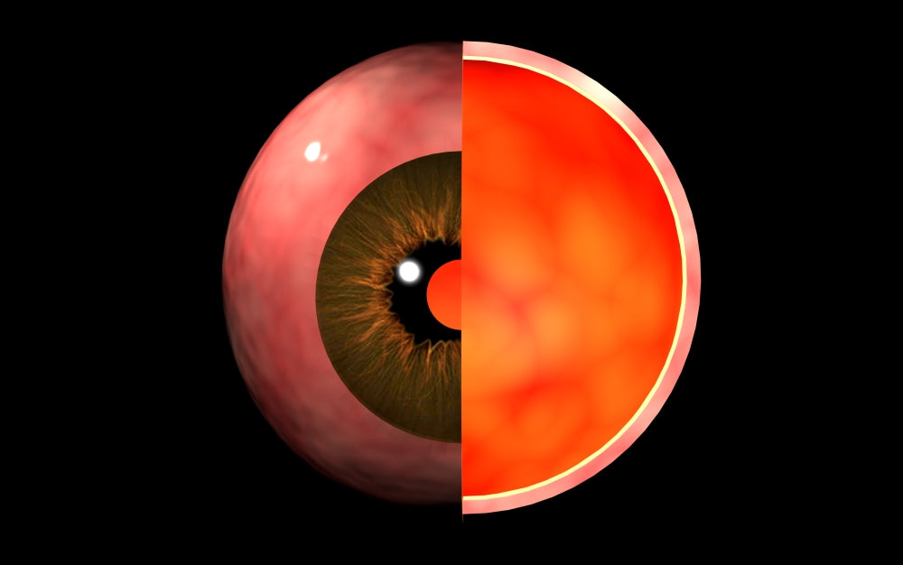 Conceptual image of human eye cross section poster print.