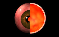 Conceptual image of human eye cross section poster print.