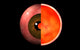 Conceptual image of human eye cross section poster print.