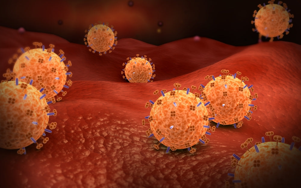 Conceptual image of the influenza virus poster print, showcasing detailed virus structure.