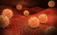 Conceptual image of the influenza virus poster print, showcasing detailed virus structure.