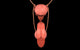 Conceptual image of human male reproductive organs poster print.