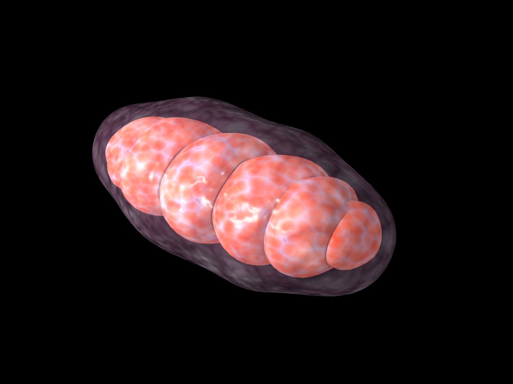 Conceptual Mitochondria Poster Print showcasing cellular biology art.