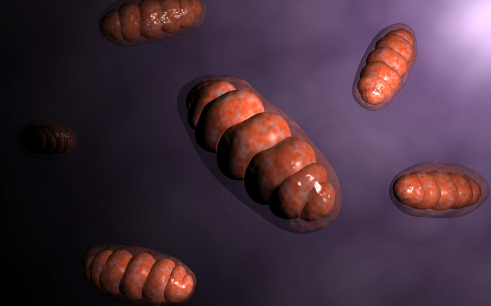 Conceptual image of mitochondria poster print showcasing intricate cellular design.