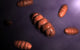 Conceptual image of mitochondria poster print showcasing intricate cellular design.