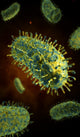 Conceptual image of the rabies virus poster print.