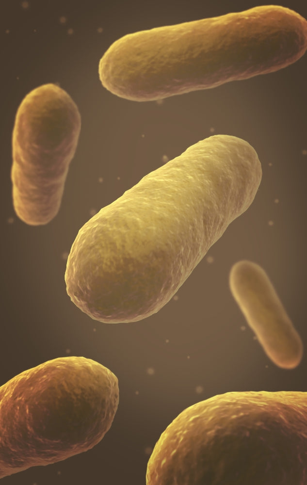 Microscopic view of bacteria poster print showcasing intricate details.