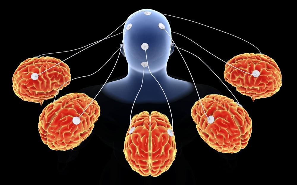 Multi-Brain Processing Conceptual Poster Print showcasing cognitive science art.