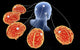 Multi-Brain Processing Conceptual Poster Print showcasing cognitive synergy.