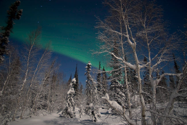 Green Aurora at Prelude Lake Poster Print by Yuichi Takasaka