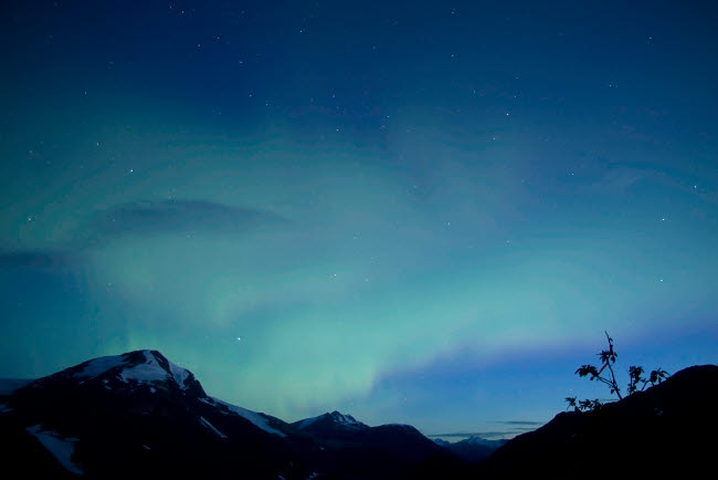Aurora Borealis over Salmon Glacier in British Columbia Poster Print by Yuichi Takasaka