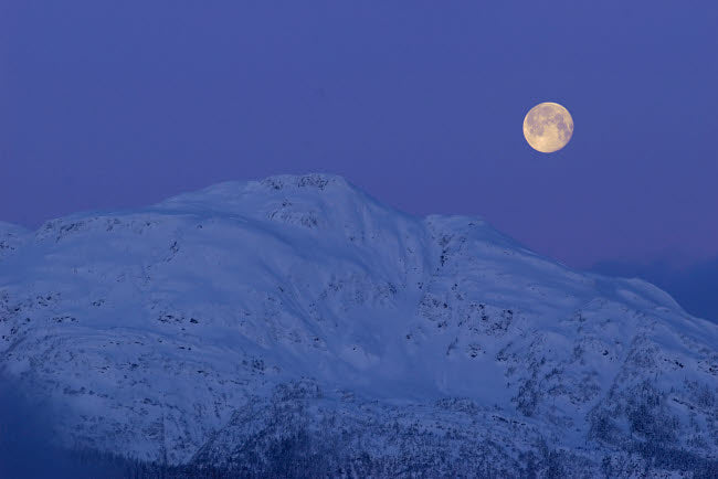 Moonset at Dawn Poster Print by Yuichi Takasaka, serene nature art
