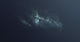 Lonely Earth-like planet with moons and nebula poster print.