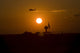 UH-60 Blackhawk flying over Camp Speicher airfield at sunset poster print
