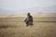 U.S. Marine patrols wadi near Konduz, Afghanistan poster print.