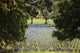 Arlington National Cemetery scenic poster print showcasing American history.