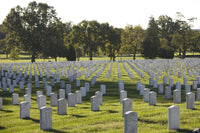 Poster print of Arlington National Cemetery, Virginia, showcasing a scenic landscape.