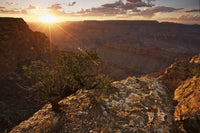 Roadside overlook view of the Grand Canyon in Arizona poster print.
