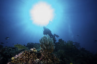 Sunburst above a diver among vibrant coral reefs in Fiji poster print.