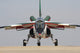 Alpha Jet of the Portuguese Air Force Poster Print by Timm Ziegenthaler