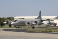 P-3C Orion Aircraft Poster Print - Portuguese Air Force at Beja Air Base