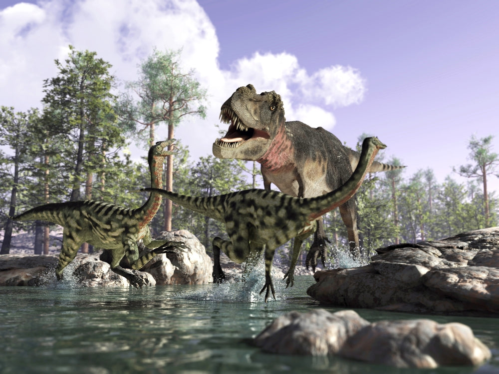 Tyrannosaurus Rex hunting two Gallimimus dinosaurs poster print