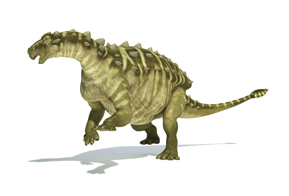 Talarurus dinosaur poster print on white background with drop shadow.