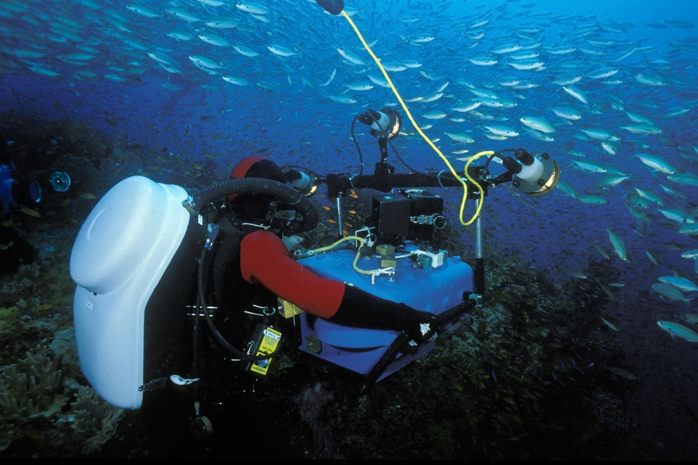 Cameraman using high-tech equipment to film marine wildlife poster print