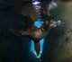 California Sea Lion playing in a sea cave, Baja California Sur - Poster Print