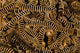 http://c328301.r1.cf1.rackcdn.com/PSTVWP401459U.jpg