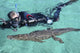 American crocodile and diver swimming in Jardines de la Reina, Cuba poster print.