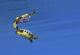 A Map Turtle surfacing for air poster print