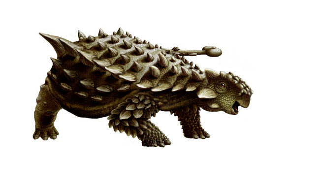 Saichania Ankylosaurid Poster Print by Yuriy Priymak on white background.