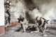 U.S. Marines in action in a ruined building poster print by Oleg Zabielin
