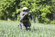 Jagdkommando soldier from Austrian special forces poster print by Oleg Zabielin.