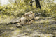 Green Berets U.S. Army Special Forces Group sniper in action poster print by Oleg Zabielin.