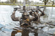 Green Berets U.S. Army Special Forces Group soldiers in action poster print by Oleg Zabielin.