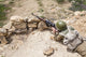 Soviet paratrooper in Afghanistan poster print by Oleg Zabielin