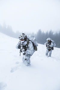 Winter Arctic Mountains Warfare Poster Print by Oleg Zabielin