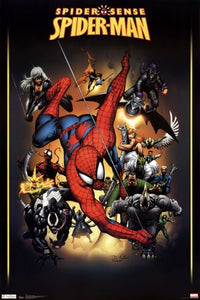 Spider-Man Enemies Poster Print - Rolled Art Print 22x34