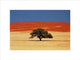 Namibia Poster Art Print by J.P. Nacivet showcasing vibrant landscapes.