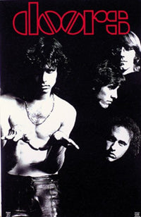 Doors Group Collage Poster Print - 24x36 Rolled Art
