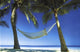 Paradise Poster showcasing vibrant scenic artwork