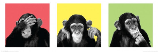 See No Evil, Hear No Evil Poster Print - 36x12 Rolled Art
