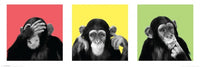 See No Evil, Hear No Evil Poster Print - 36x12 Rolled Art
