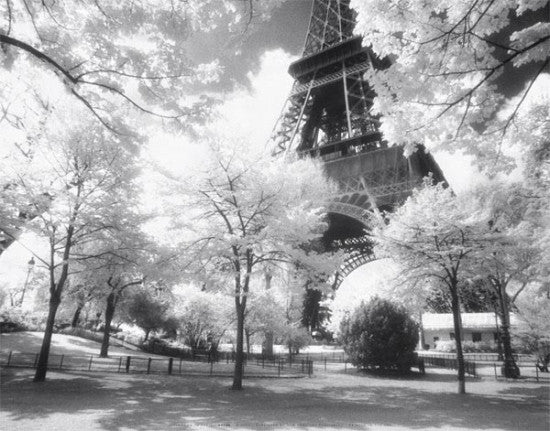 Afternoon in Paris Poster Print - Rolled Wall Art