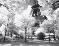 Afternoon in Paris Poster Print - Rolled Wall Art